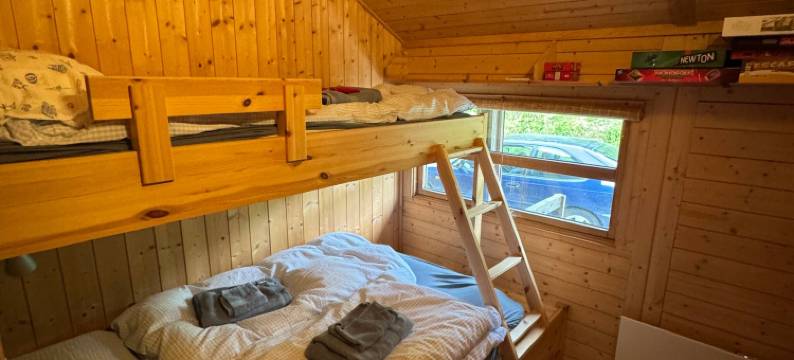 Cozy and family-friendly mountain cabin图片