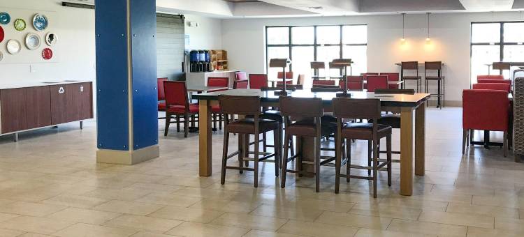 智选假日套房酒店拉伯克西(Holiday Inn Express & Suites Lubbock West)图片