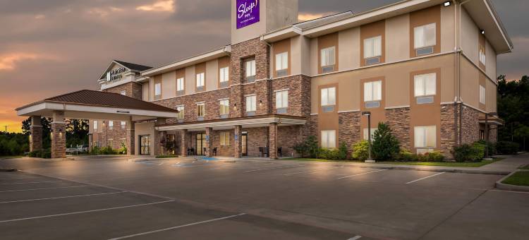 拉夫金美茵斯坦套房酒店(MainStay Suites Lufkin)图片