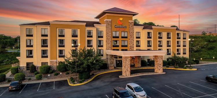 舒适套房酒店-赫梅尔斯敦赫许(Comfort Suites Hummelstown - Hershey)图片