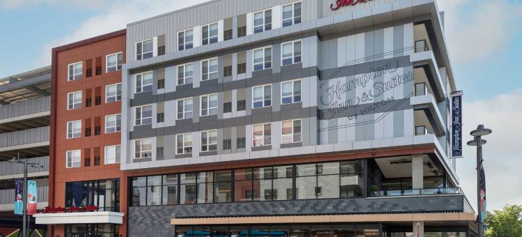 马萨诸塞波士顿沃特敦欢朋套房酒店(Hampton Inn & Suites by Hilton Watertown Boston)图片