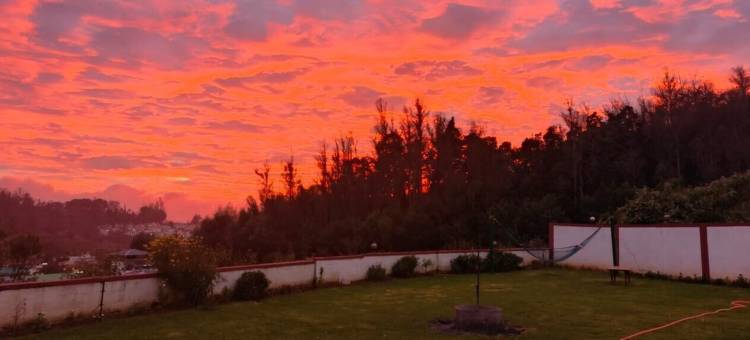 自然度假村及住宿的玫瑰木(Rosewood by Nature Resorts and Stays)图片