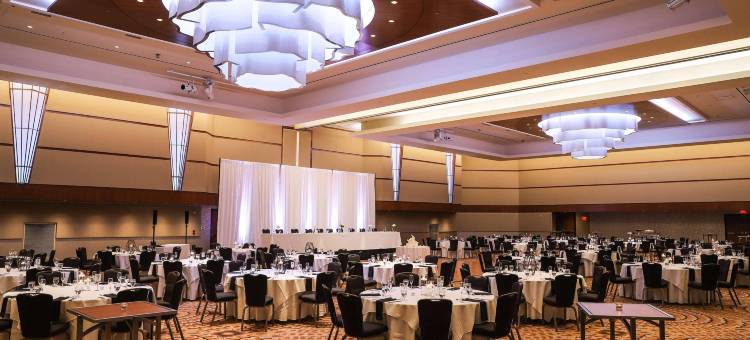 卡拉马祖中心丽笙广场酒店(Radisson Plaza Hotel and Suites Kalamazoo)图片