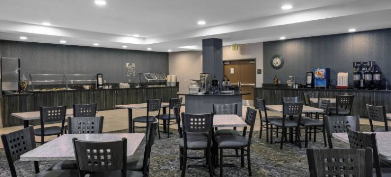 沙漠棕榈套房酒店(Desert Palms Hotel & Suites Anaheim Resort)图片