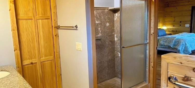 The Den at Bear Roots Tree Farm - 4-bedroom cabin with AC, WiFi in Mars Hill图片