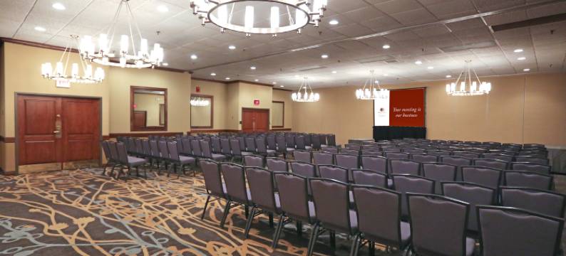 迈克艾伦希尔顿逸林套房酒店(DoubleTree Suites by Hilton McAllen)图片