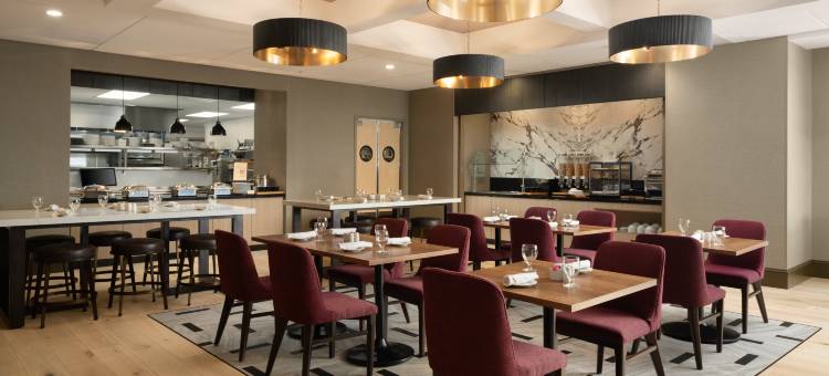 希尔顿花园酒店格林维尔大学(Hilton Garden Inn Greenville University Area)图片