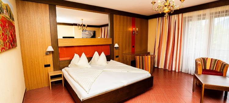 施泰纳西酒店(Seehotel Steiner)图片