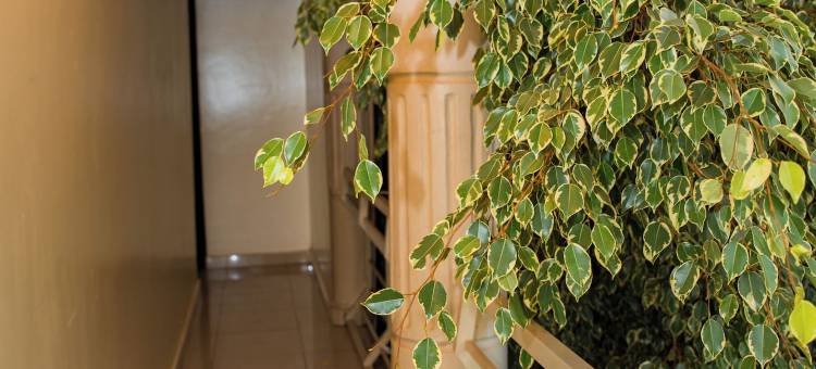 法纳德酒店(Fanad Hotel)图片