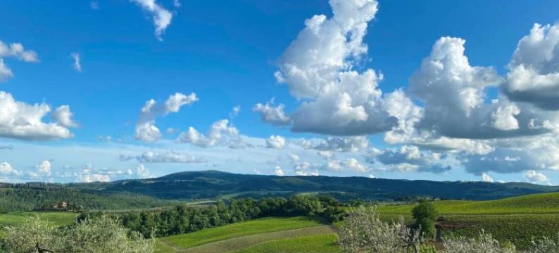 Peaceful Getaway in Nature图片