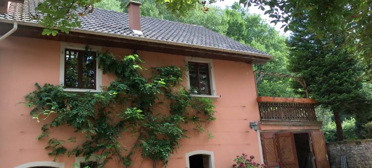 Forest Retreat in Vosges图片