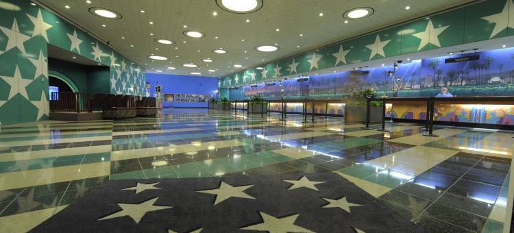 迪士尼全明星电影度假村(Disney's All-Star Movies Resort)图片