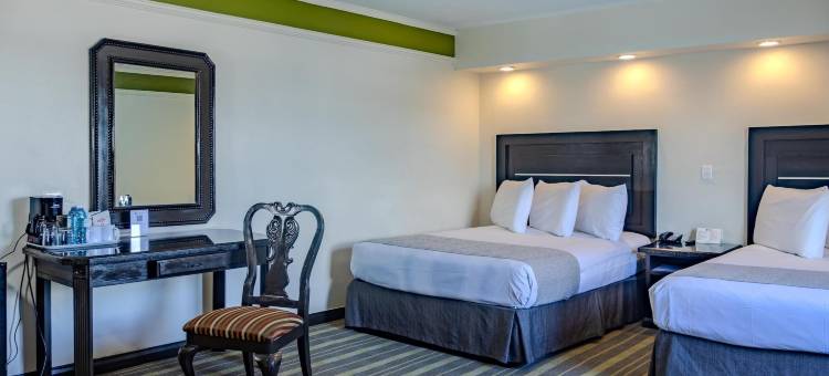 马塔莫罗斯广场贝斯特韦斯特酒店(Best Western Hotel Plaza Matamoros)图片