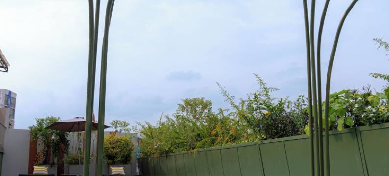 五月花酒店餐厅(限成人)(Flor de Mayo Boutique Hotel, Spa & Restaurant)图片