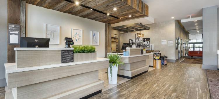 希尔顿花园酒店加拉廷(Hilton Garden Inn Gallatin)图片