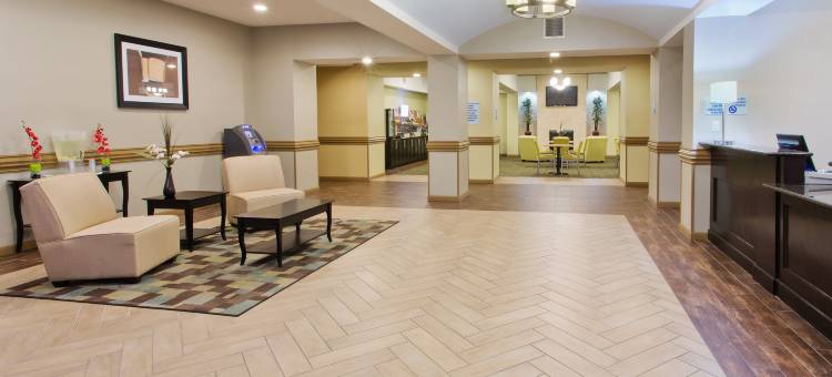 智选假日套房酒店阿尔瓦拉多(Holiday Inn Express & Suites Alvarado)图片