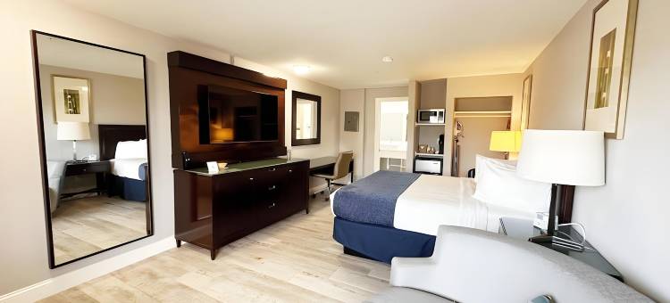 灯笼套房酒店-萨拉索塔(Lantern Inn & Suites - Sarasota)图片