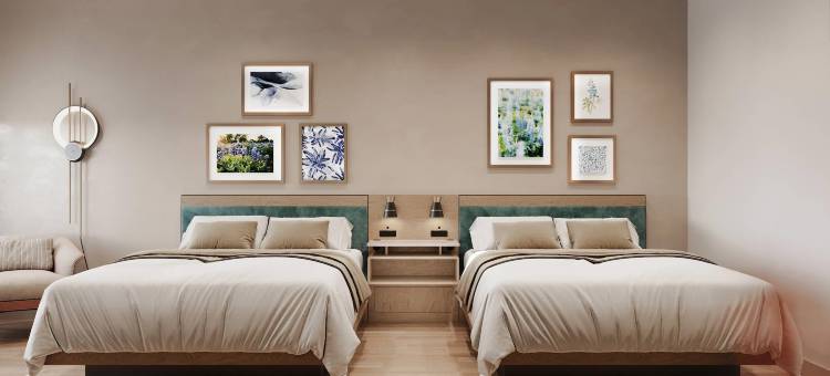 坎布里亚酒店尤里斯- DFW机场南(Cambria Hotel Euless - DFW Airport South)图片