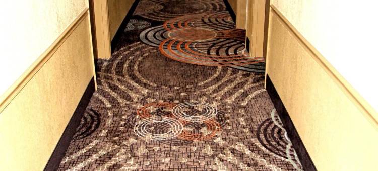 Best Western Plus Jackson Downtown-Coliseum图片