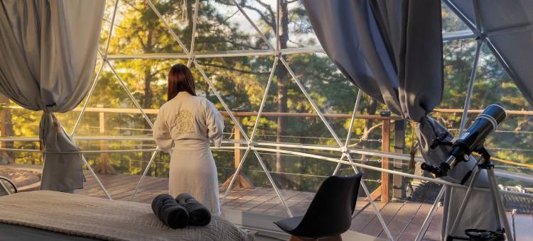 小松树豪华露营(Tiny Pines Glamping)图片