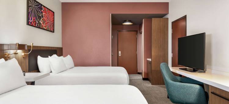 希尔顿花园酒店-亚特兰大南-麦克多诺(Hilton Garden Inn Atlanta South-McDonough)图片