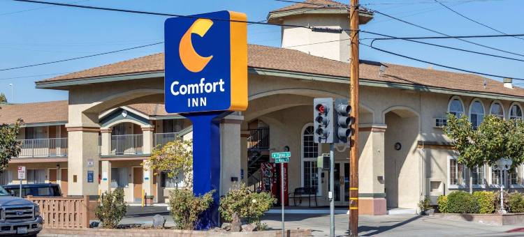 毕晓普舒适酒店(Comfort Inn Bishop)图片