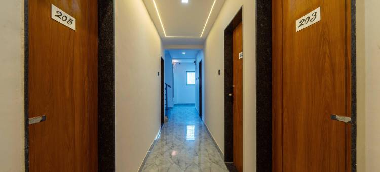 Treebo the Tree图片