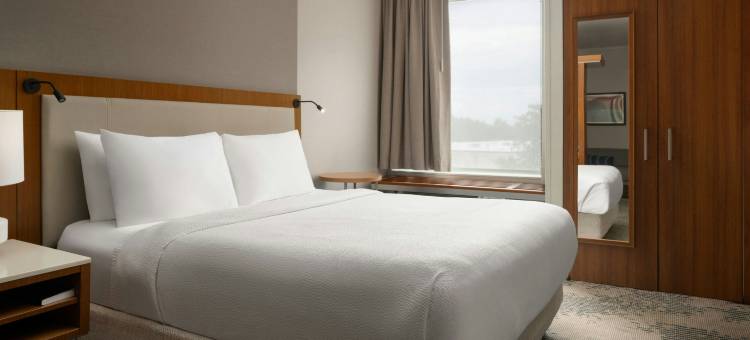 沃里斯芒特劳雷尔/樱桃山万豪SpringHill Suites 酒店(SpringHill Suites Voorhees Mt. Laurel/Cherry Hill)图片