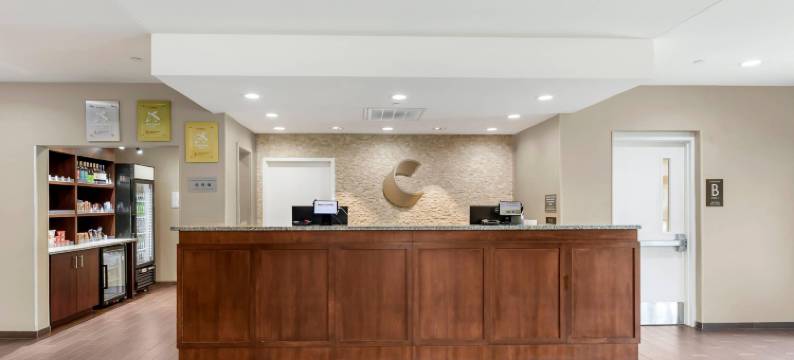 舒适套房旅馆(Comfort Inn & Suites)图片