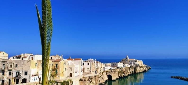 民宿卡萨德西米奥(B&B Casa Desimio)图片