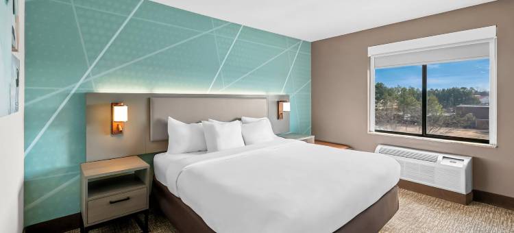 舒适套房酒店(Comfort Suites)图片