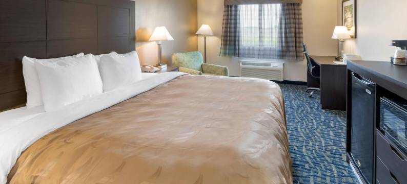 凯艺酒店(Quality Inn)图片