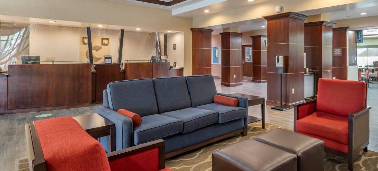 奥利夫布兰奇西舒适套房酒店(Comfort Suites Olive Branch - Memphis South)图片
