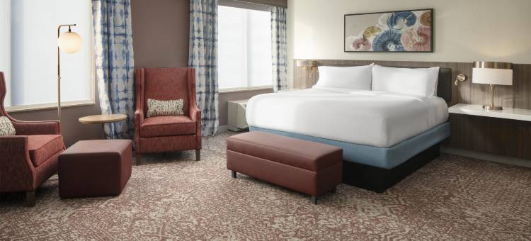 弗吉尼亚镇中心希尔顿花园海滩酒店(Hilton Garden Inn Virginia Beach Town Center)图片