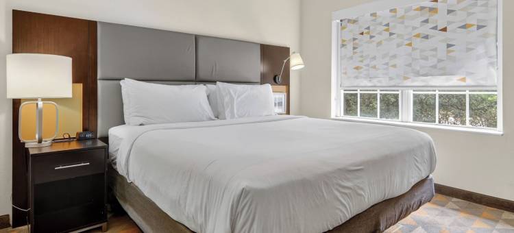 达拉斯艾迪生假日套房酒店(Holiday Inn & Suites DALLAS-ADDISON by IHG)图片
