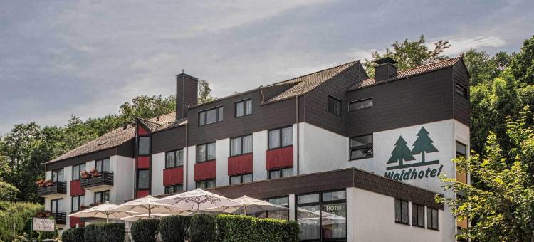 艾森伯格瓦尔德酒店(Waldhotel Eisenberg)图片