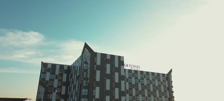 坤甸福朋喜来登酒店(Four Points by Sheraton Pontianak)图片