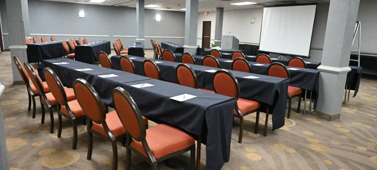 DFW机场中庭套房酒店(Atrium Hotel and Suites DFW Airport)图片