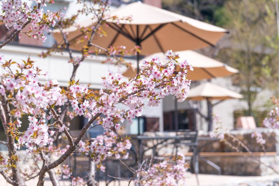 上高地Lemeiesta酒店