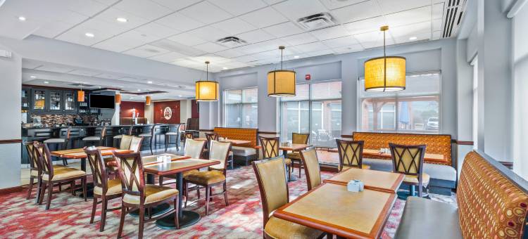 斯塔克维尔希尔顿花园酒店(Hilton Garden Inn Starkville)图片