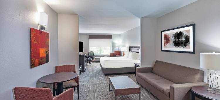 智选假日套房酒店什里夫波特南园广场(Holiday Inn Express & Suites SHREVEPORT SOUTH - PARK PLAZA by IHG)图片