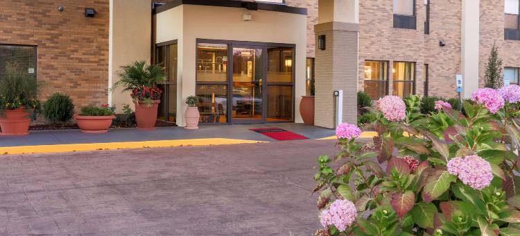 南列克星敦希尔顿欢朋酒店(Hampton Inn Lexington South-Keeneland/Airport)图片