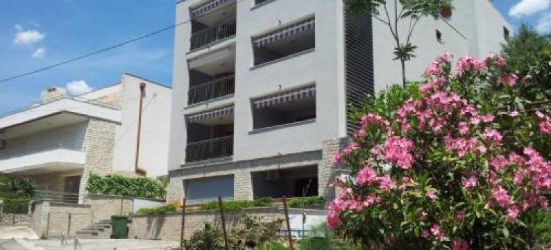 夏季公寓(Apartment Summertime)图片