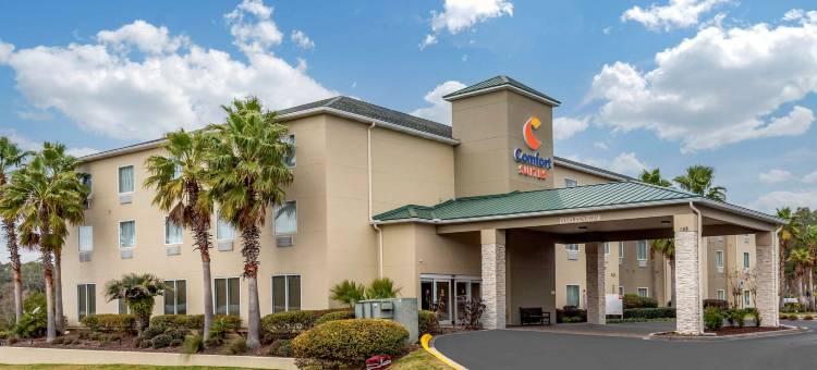 尼斯维尔埃格林空军基地附近舒适全套房酒店(Comfort Suites Niceville Near Eglin Air Force Base)图片