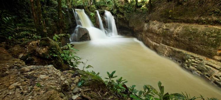 百合花酒店(Hotel Fleur de Liz - Tagbilaran City)图片