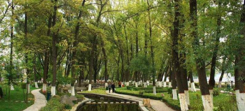 西宁君悦假日酒店图片