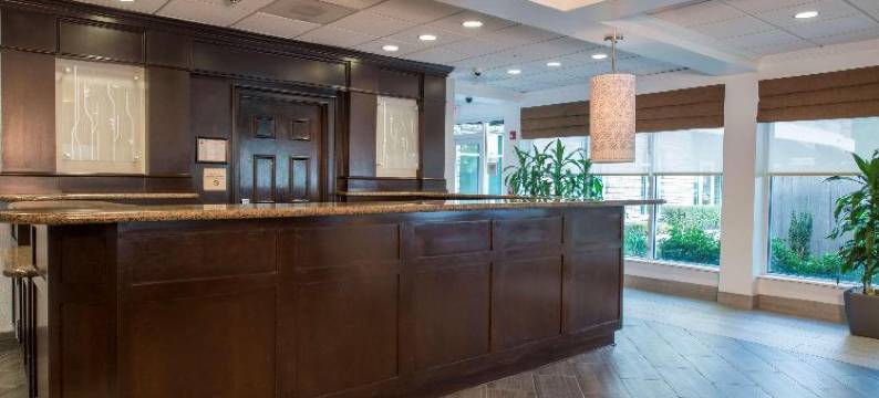希尔顿花园酒店-亚特兰大机场北(Hilton Garden Inn Atlanta Airport North)图片