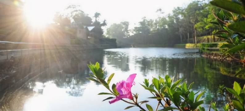 SAJ瓦格蒙旅馆(Saj Vagamon Hideout)图片