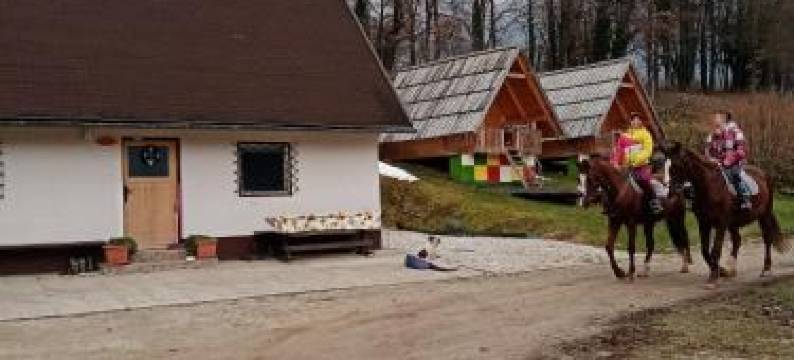 Apartma Pr' Vok图片