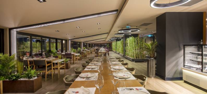 开塞利-杜文诺努假日酒店(Holiday Inn KAYSERI - DUVENONU by IHG)图片